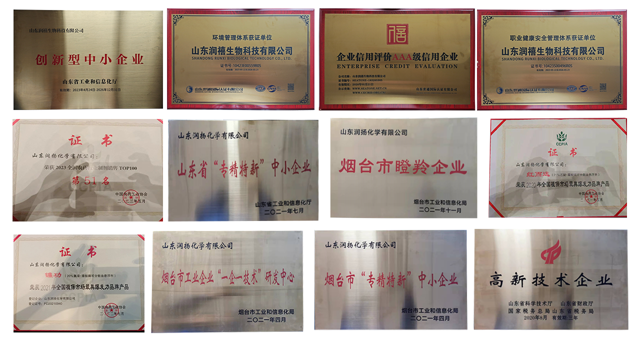 荣誉证书.png